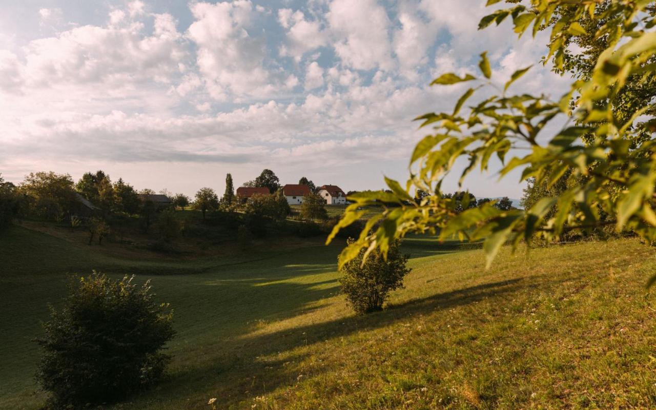 Hisa Na Ravnah Hotel Pišece Buitenkant foto